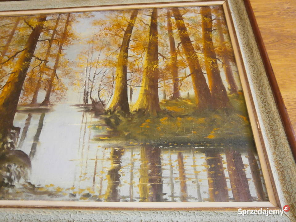 Stary obraz w ramie płótno Pejzaż ładny stan Łódź