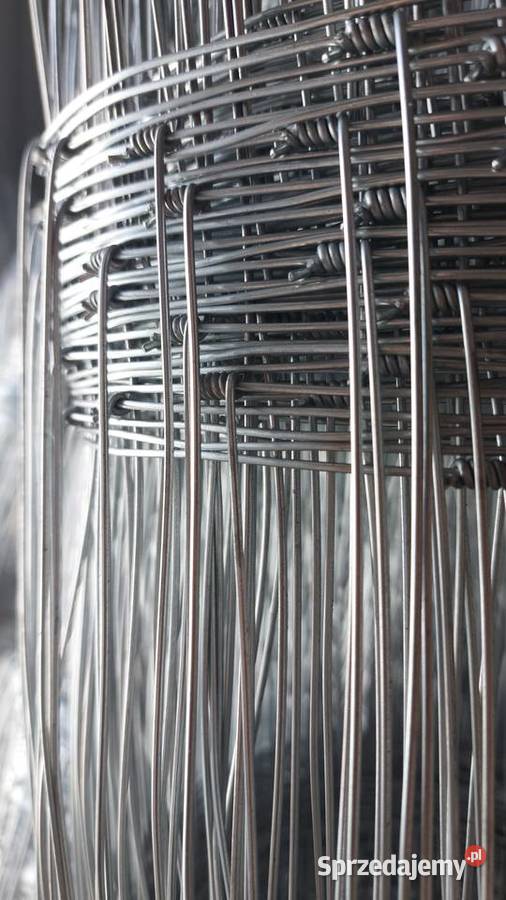 Siatka leśna ocynkowana L 1501030 50mb różne Cieśle