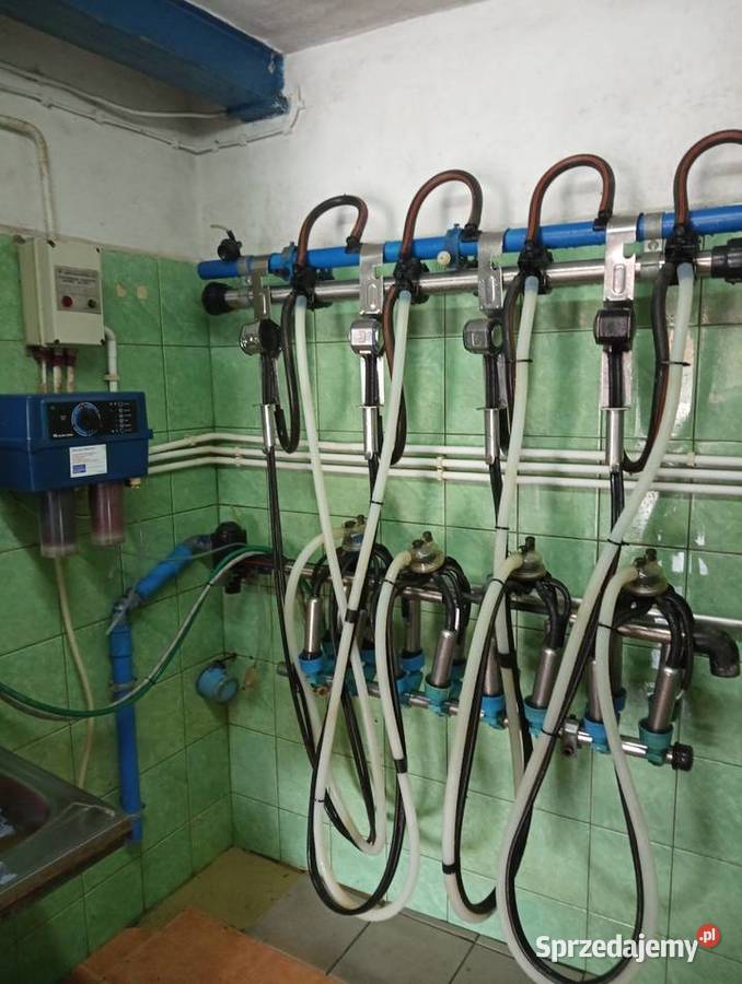 Sprzedam dojarkę przewodową alfa laval