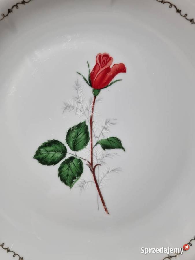 Talerz Porcelanowy Limoges Wola Podłężna