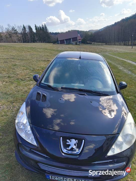 Peugeot 206 plus 2010 Huta Gogołowska