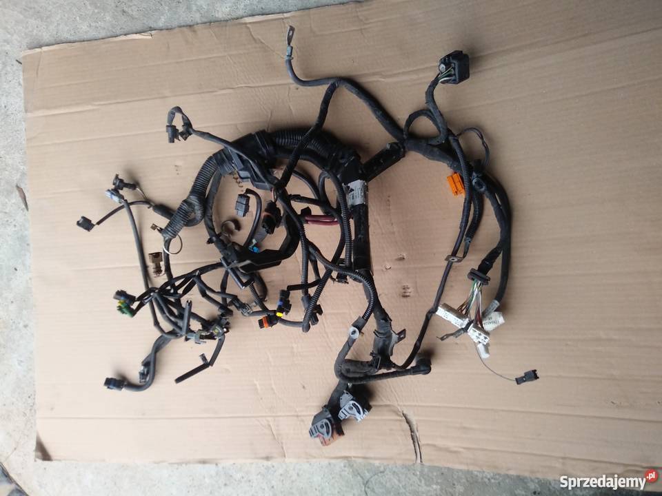 Instalacja silnika Renault Clio 1 5 DCI Rok produkcji 2005
