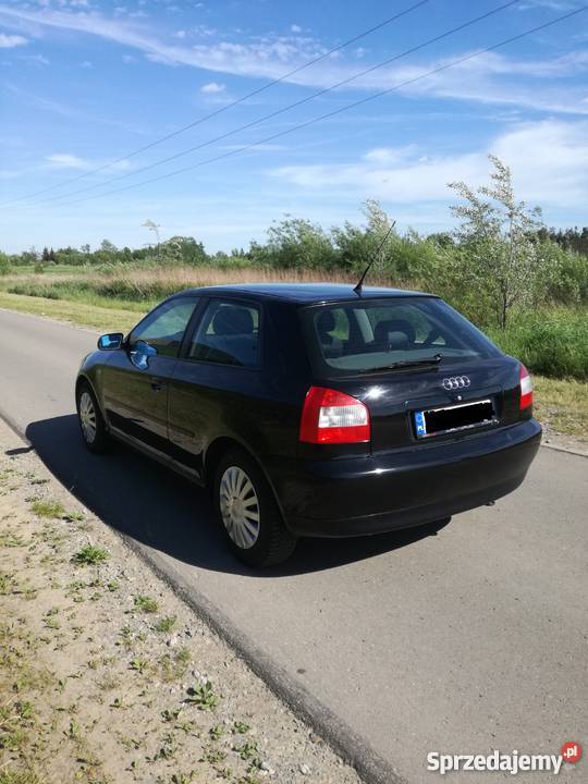 Sprzedam Audi A3 8L 16 BenzynaWart Do negocjacji poduszka powietrzna Rzeszów sprzedam