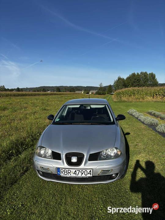 SEAT IBIZA III 14 Benzyna 2002
