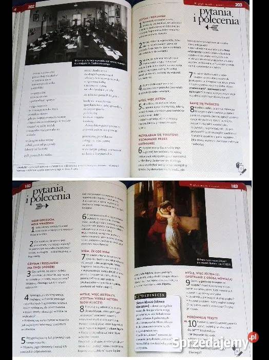 Świat w słowach i obrazach kl 1 Język polski Chełm sprzedam