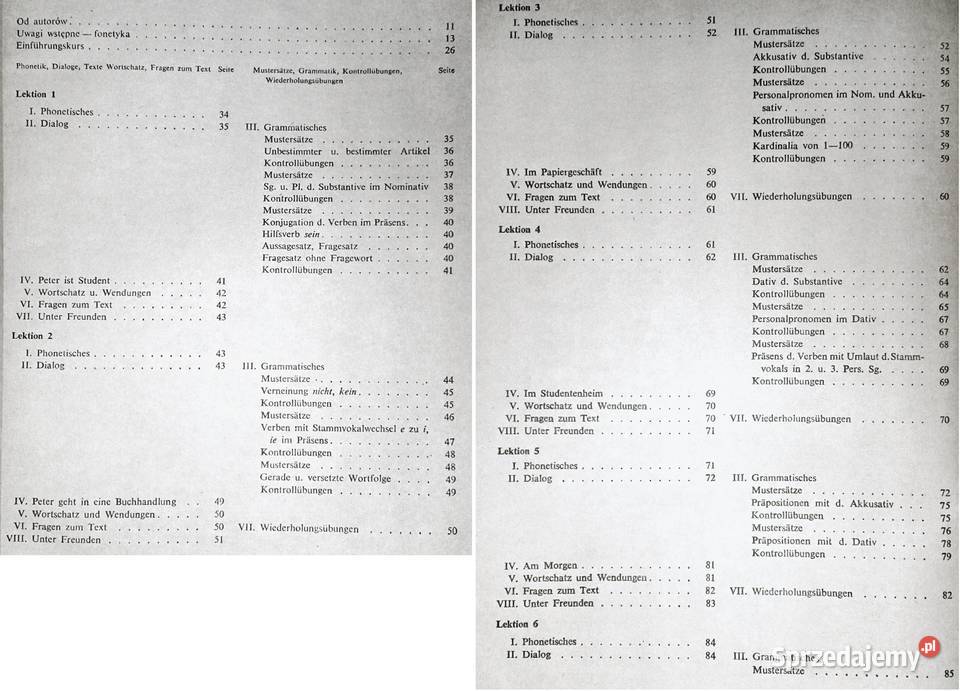 Polnische studenten lernen deutsch Grundstufe Chełm
