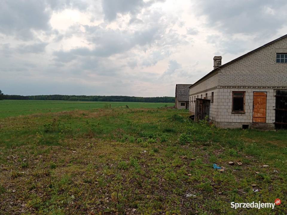 Gospodarstwo rolne na sprzedaz Wygnanka