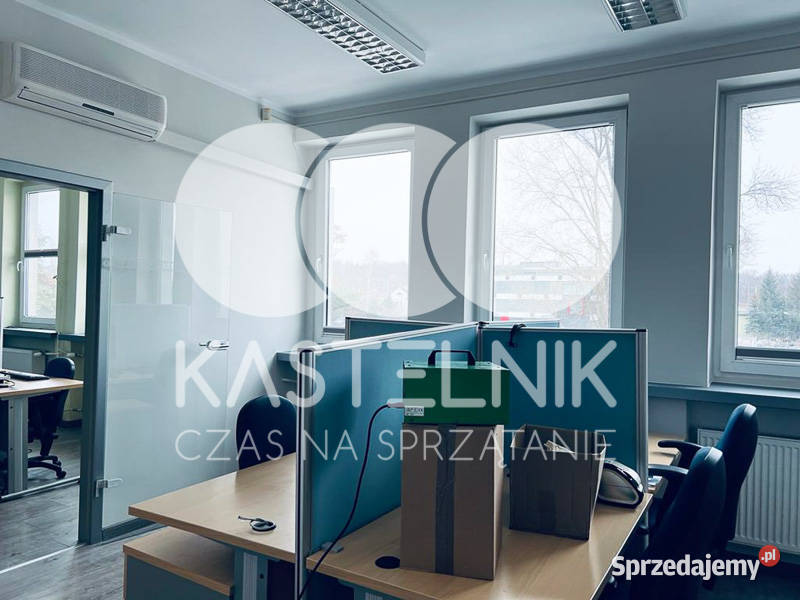 Odgrzybianie ścian Rzeszów Kastelnik Usuwanie