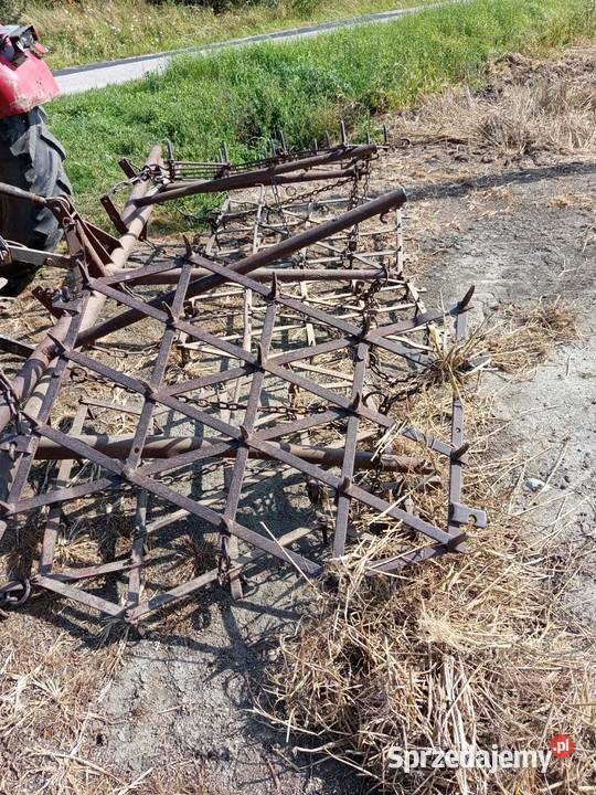 Brony 5 polowe kujawsko-pomorskie