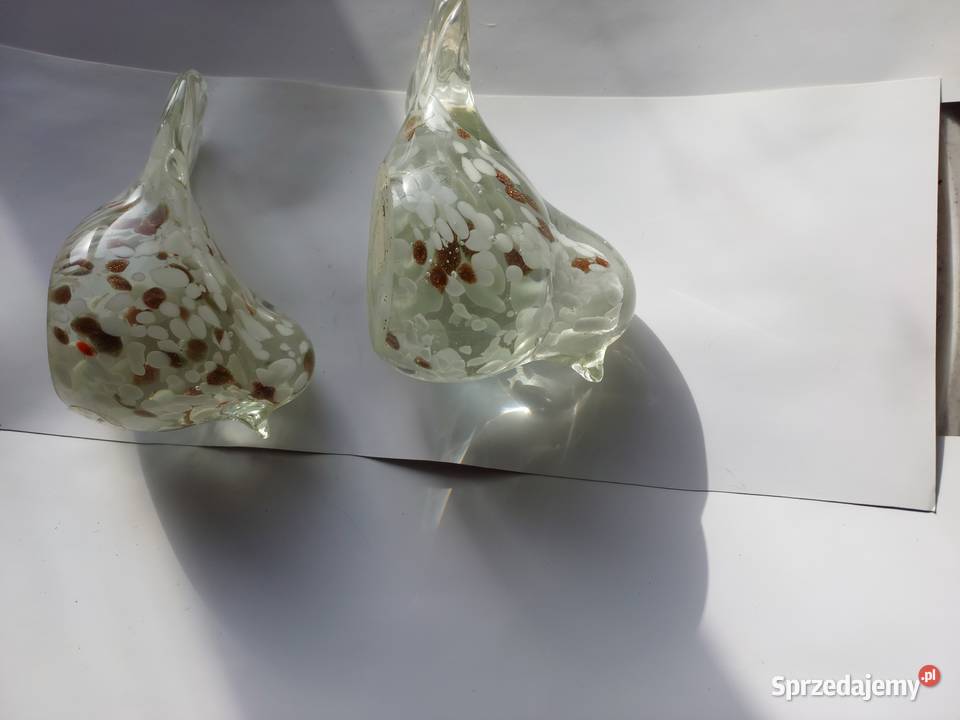 Ptaszki szklane 2 Wrocław