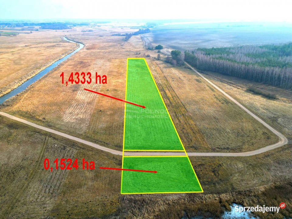 Łąka Horbów Kolonia gm Zalesie pow bialski