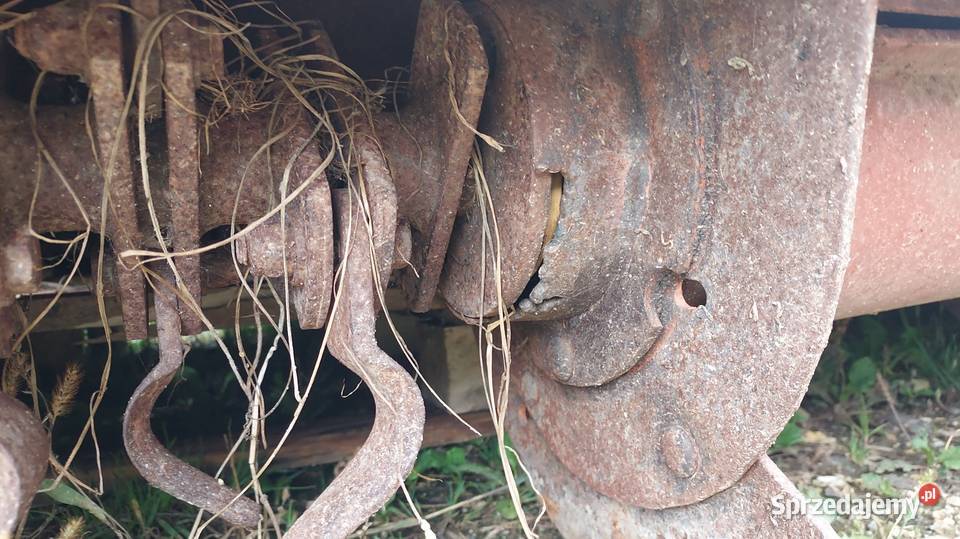 Przystawka do kukurydzy Laverda 675L 6 rzędów Modryń sprzedam