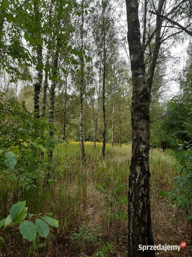działka rolno budowlana 300m