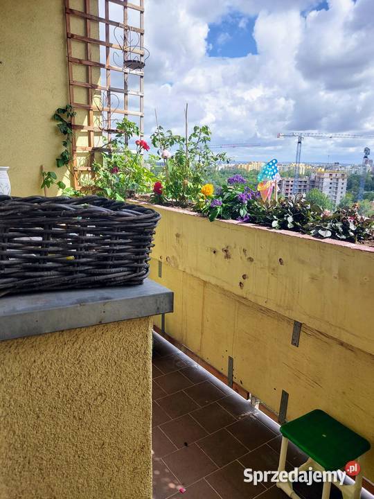 Sprzedam mieszkanie 3 pokoje własność dolnośląskie Wrocław