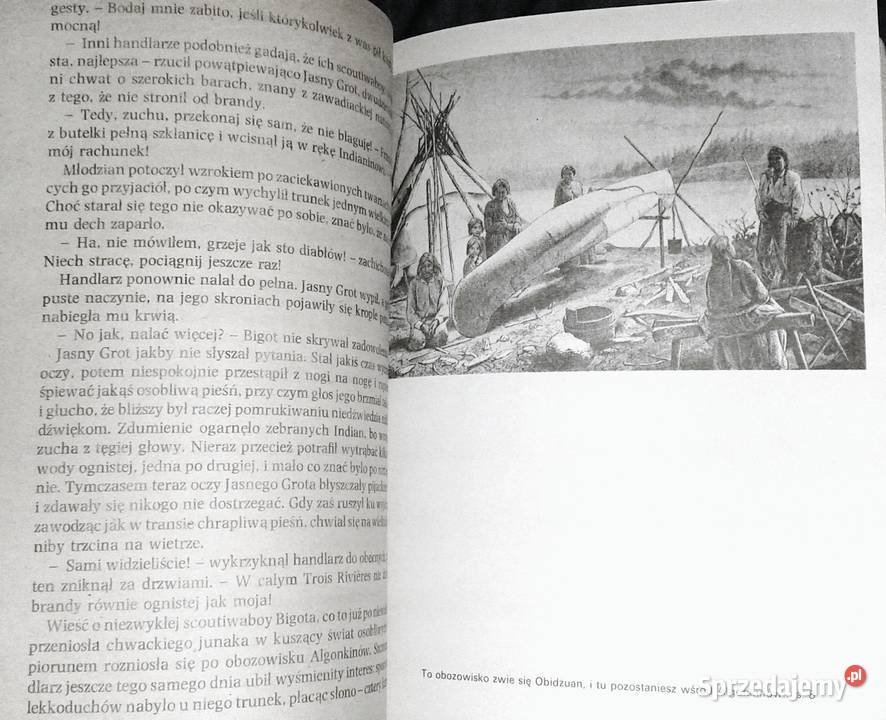 Ród Indian Algonkinów Fiedler Arkady i Marek sprzedam