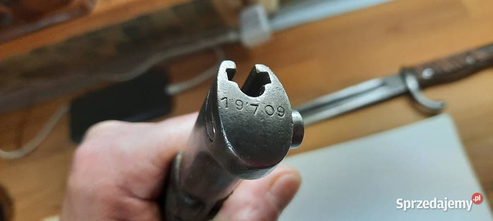 Bagnet j belgijski1924 krótki stan nabity numer