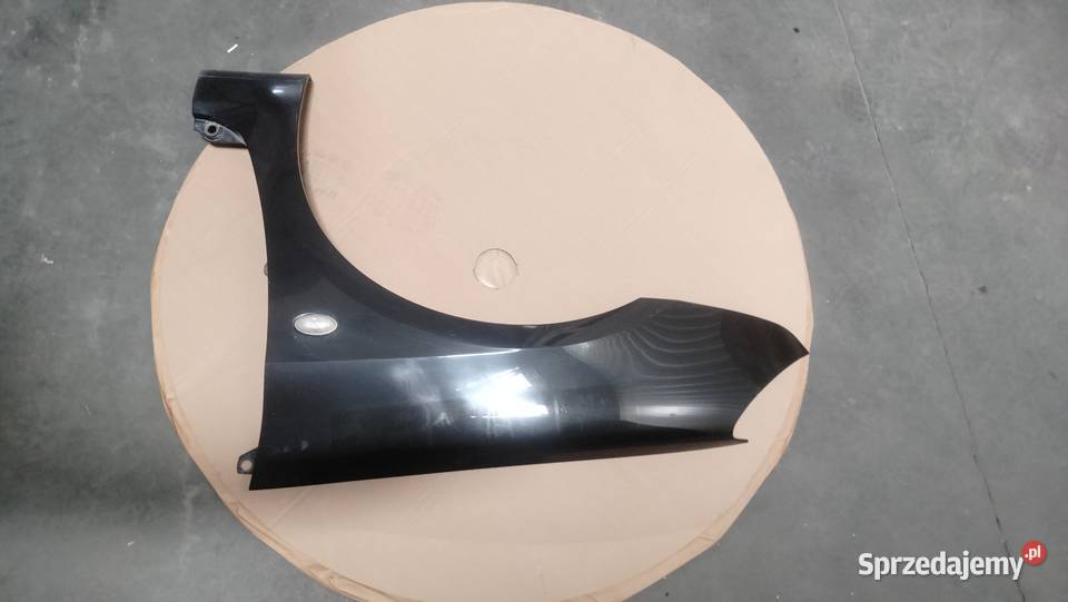 Błotnik przedni lewy prawy Peugeot 307 kujawsko-pomorskie Bydgoszcz
