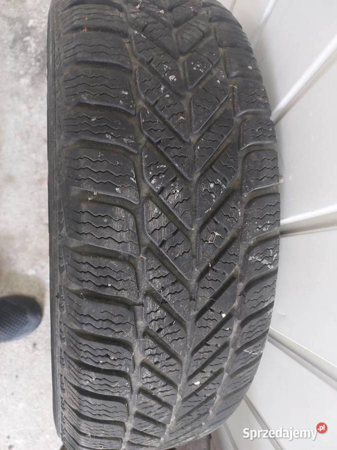 Opony zimowe Dębica 65 Brzesko