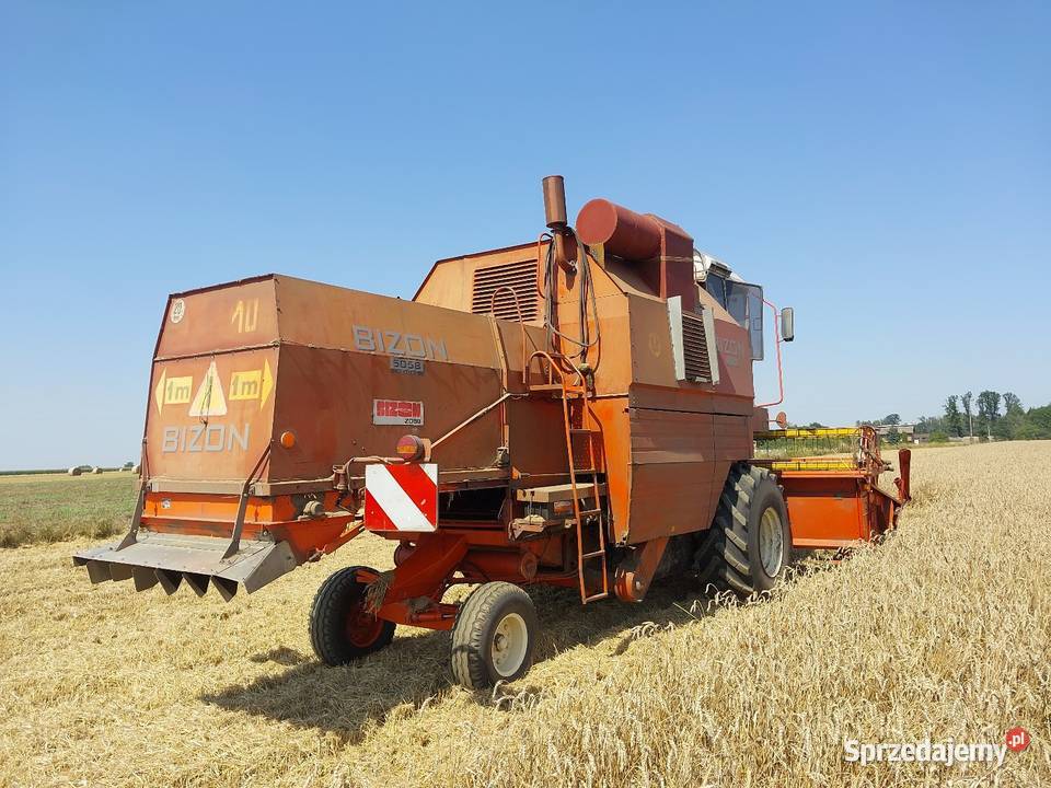 Bizon rekord czeski export