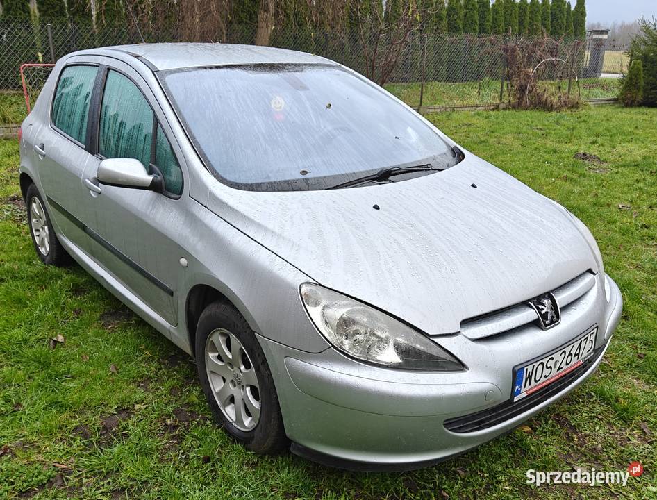 Peugeot 307 16 benzyna sprawna klimatyzacja Lucynów