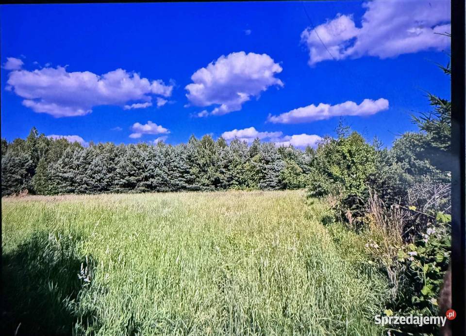 Działka budowlana pod lasem