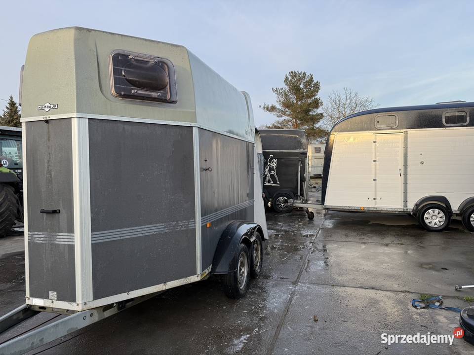 Humbaur przyczepa do koni 2000 Solnica