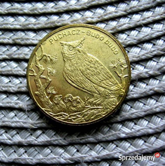 Polska 2 GN 2005r Puchacz Ładna Kalisz