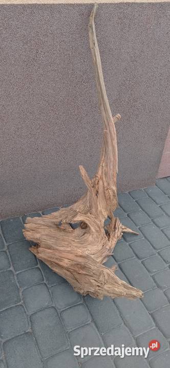 Drewno dryftowe driftwood 100 naturalny korzeń Pińczów