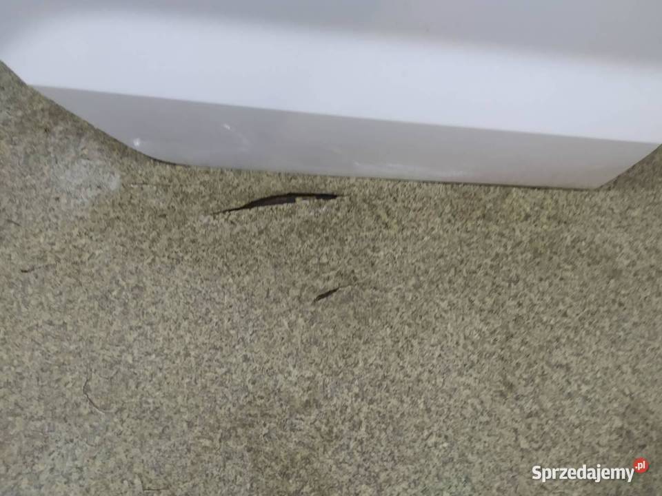 DRZWI PRAWE TYŁ SEDAN LS9R Audi A3 III 2013 2020 świętokrzyskie