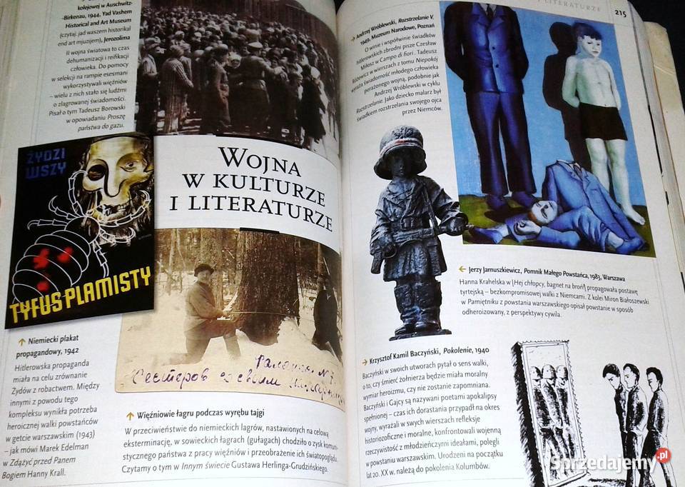 Nowe Zrozumieć tekst zrozumieć człowieka 3 Język Książki i Podręczniki Chełm