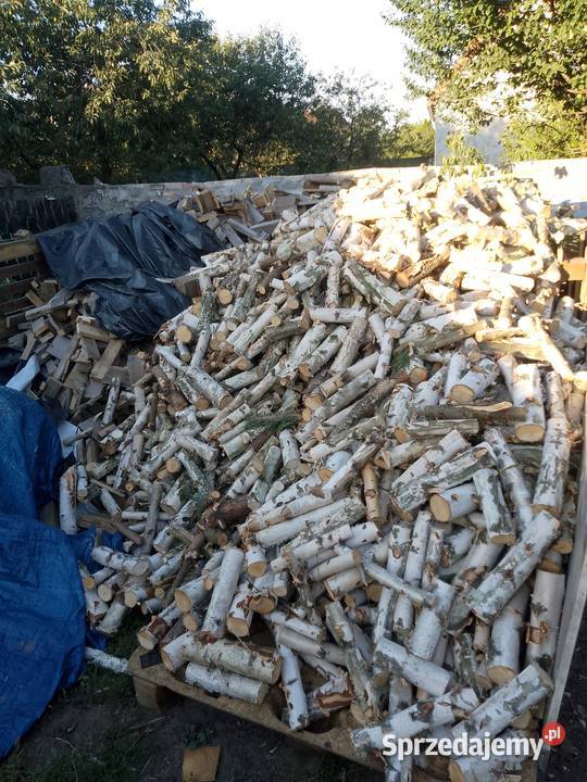 Drewno opałowe Brzoza Opał Piła sprzedam