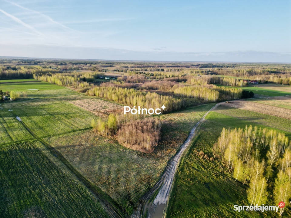 Działka rolnibudowlana 295h Żalin gm RudaHuta