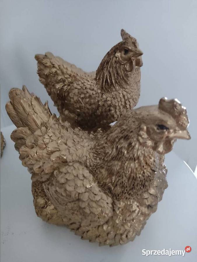 Złote kury Straszęcin sprzedam