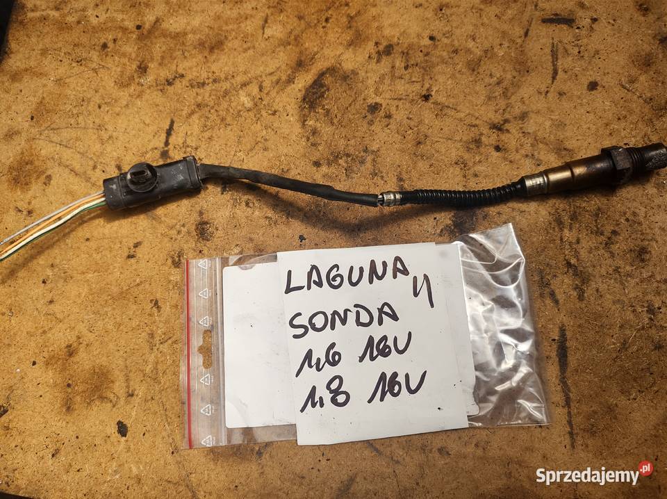 Renault megane laguna II 16 16v sonda lambda osobowe świętokrzyskie
