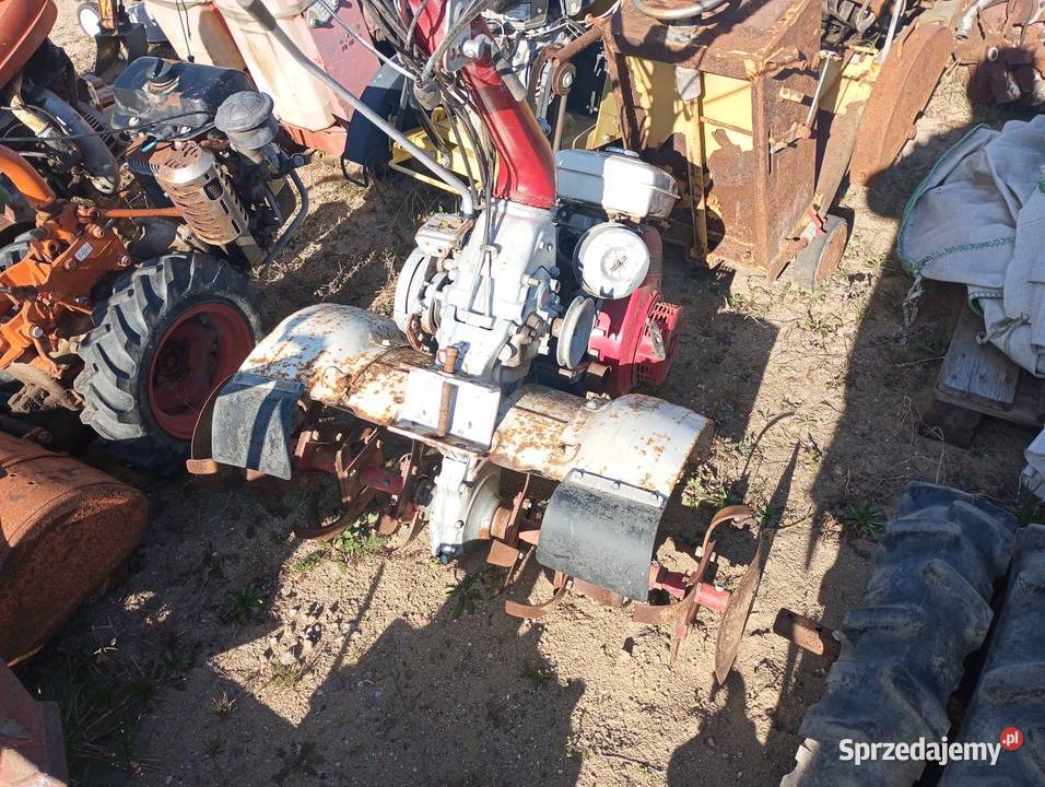 Glebogryzarka spalinowa Glebogryzarki Buk