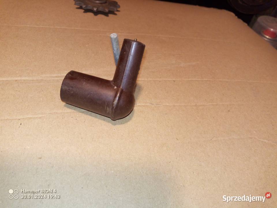 komar fajka żak ryś Międzychód