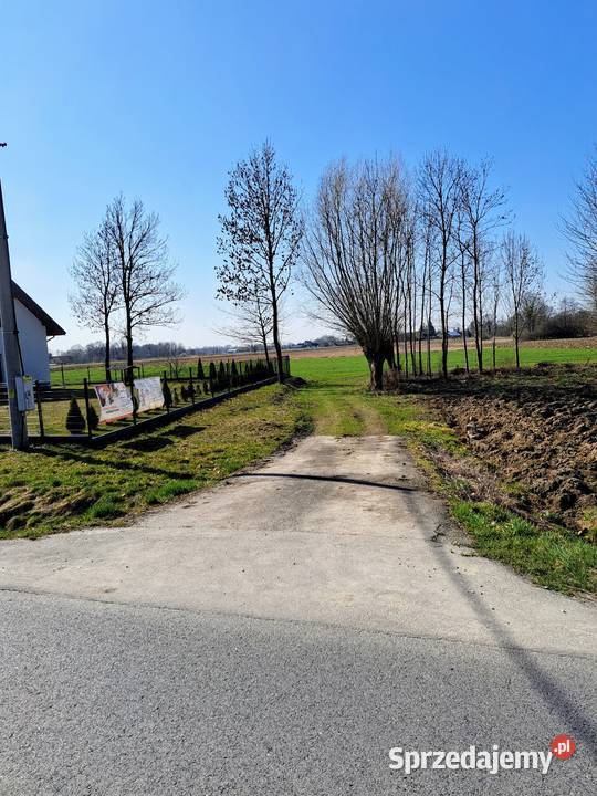 Działka budowlana 56 arów miejscowość Zabrnie