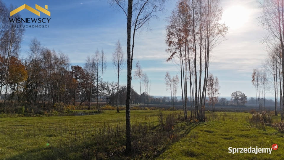 Buduj w Dawidach 3001 m z WZ warmińsko-mazurskie Dawidy sprzedam