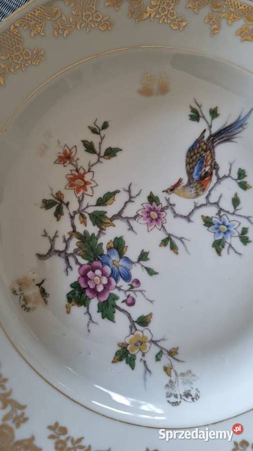 Talerze Z Rajskim Ptakiem głębokie Porcelana sprzedam