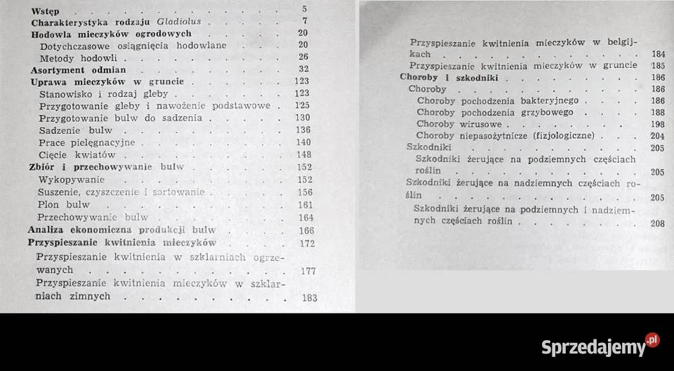 Mieczyki Barbara Grabowska