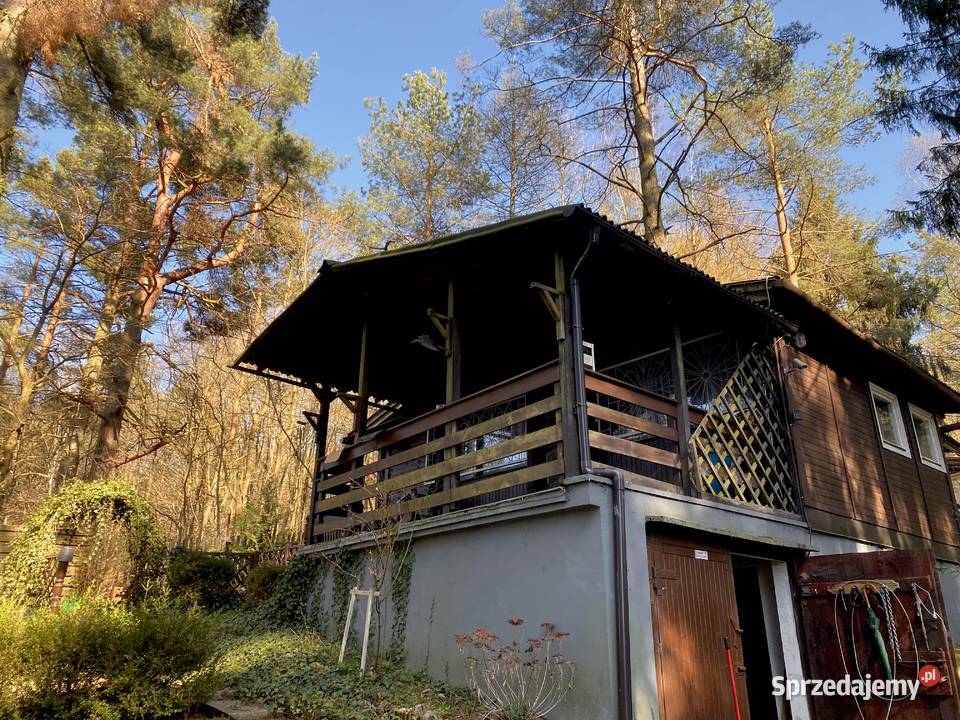 Domek jeziorem w lesie Zbychowo sprzedam