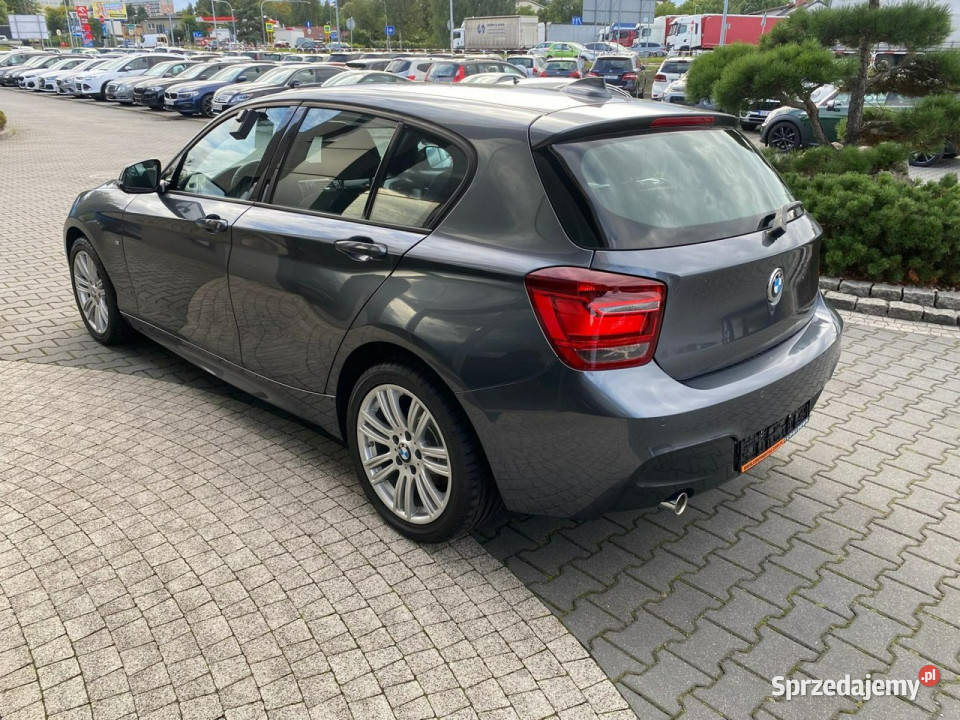 BMW 116 led bixenon mpakiet podgrz fot navi PDC