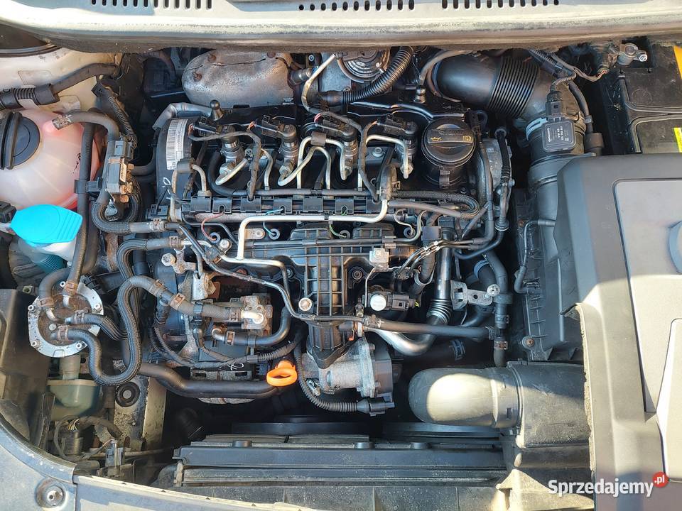 Vw Caddy Maxi 16 tdi 2011r diesel Jarocin