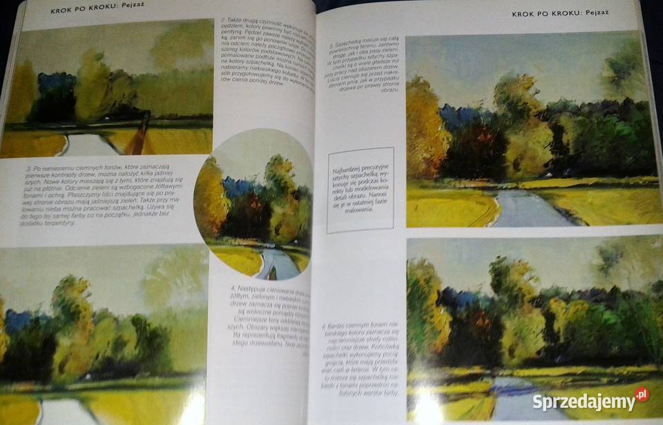 Malarstwo olejne początkujących Francisco A Chełm