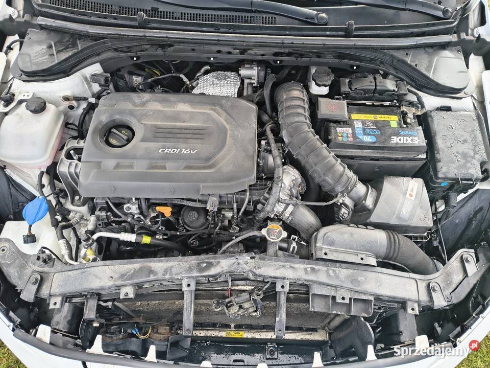 Hyundai Elantra VI 16 CRDI Grybów