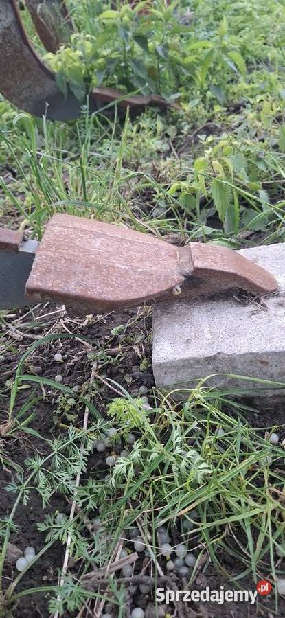 Głębosz 3 łapy agrona nieuszkodzony Augustów