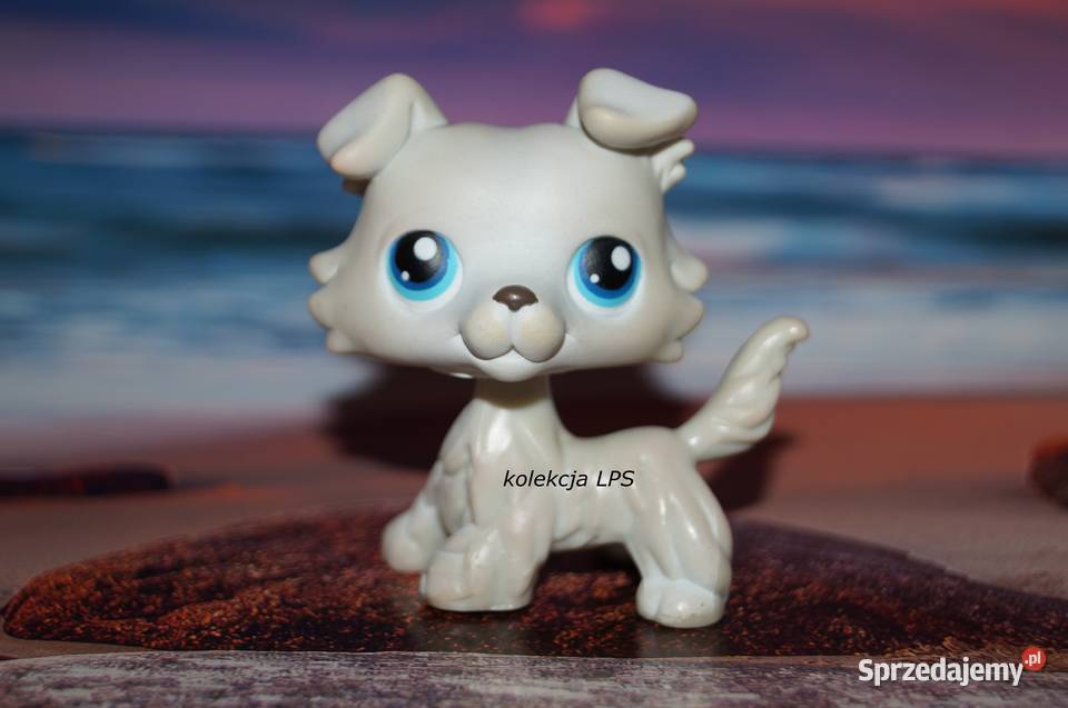 LPS collie 363 UNIKAT oryginalny Littlest Pet Hasbro Rybnik