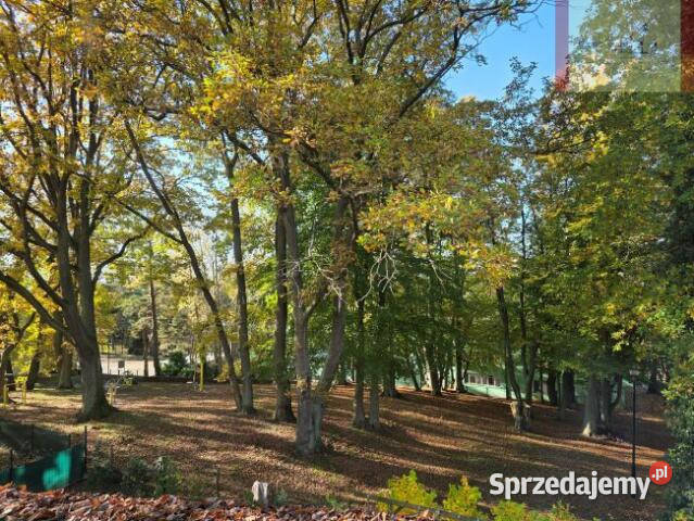 Mieszkanie 35m2 2pok Jastrzębia Góra Klonowa