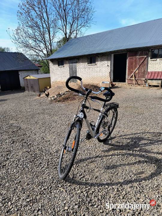 Rower męski Enik Zajączkowice