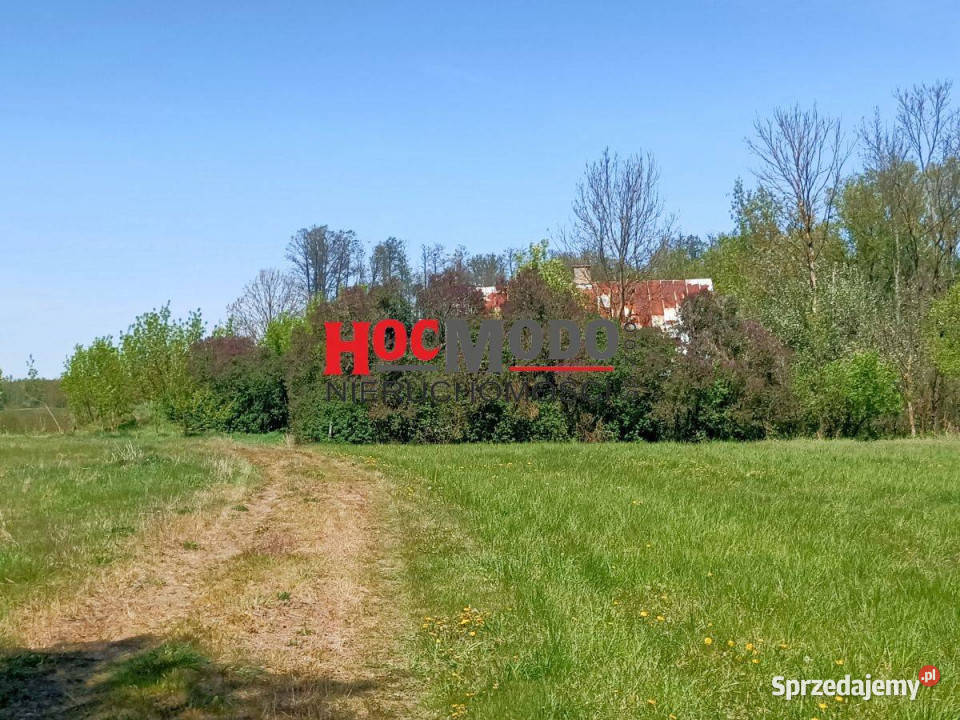 Działka 19 ha z budynkami i lasem mazowieckie Obręb